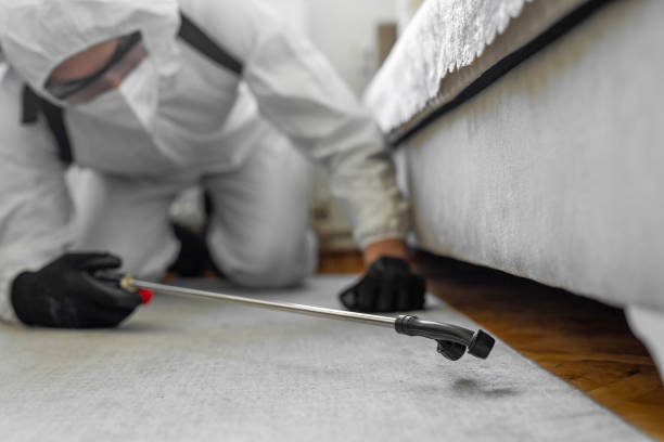 Professional Cockroach Control technician working in Coquille, OR