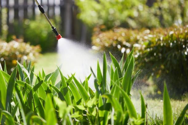 24/7 Emergency Cockroach Control experts in Coquille, OR