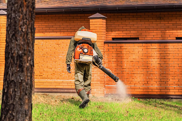 Top rated local Cockroach Control specialists in Coquille, OR